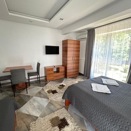 Vila Markovic-A Soko Banja Exteriör bild