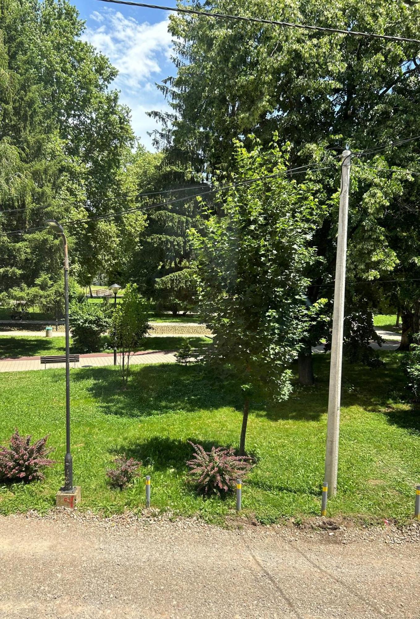 Vila Markovic-A Soko Banja Rum bild