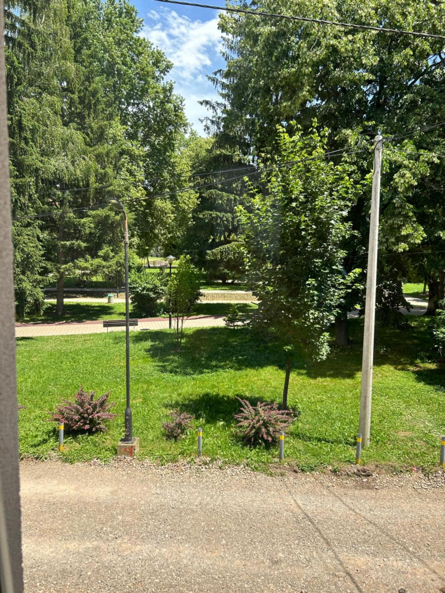 Vila Markovic-A Soko Banja Exteriör bild