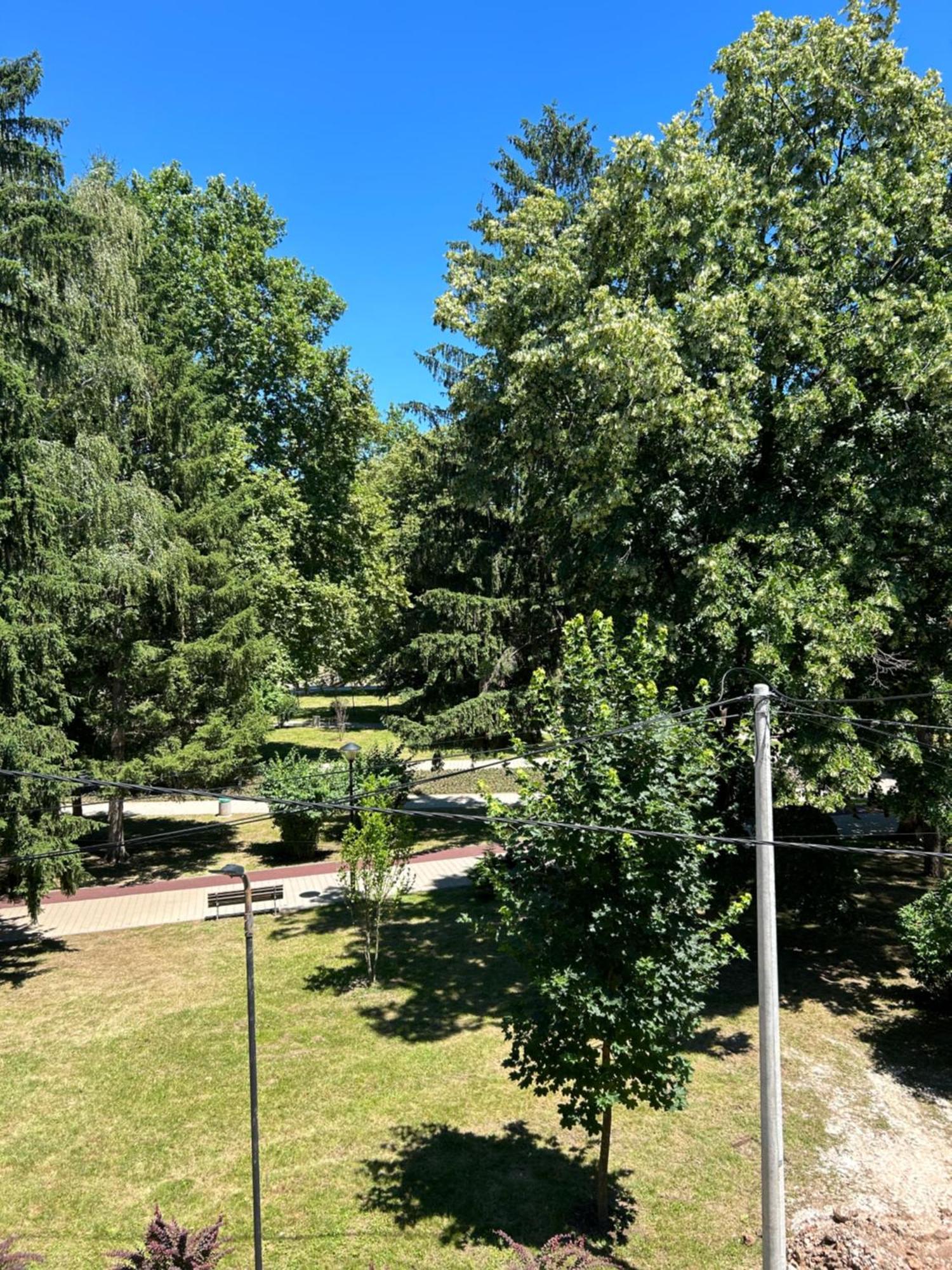 Vila Markovic-A Soko Banja Exteriör bild